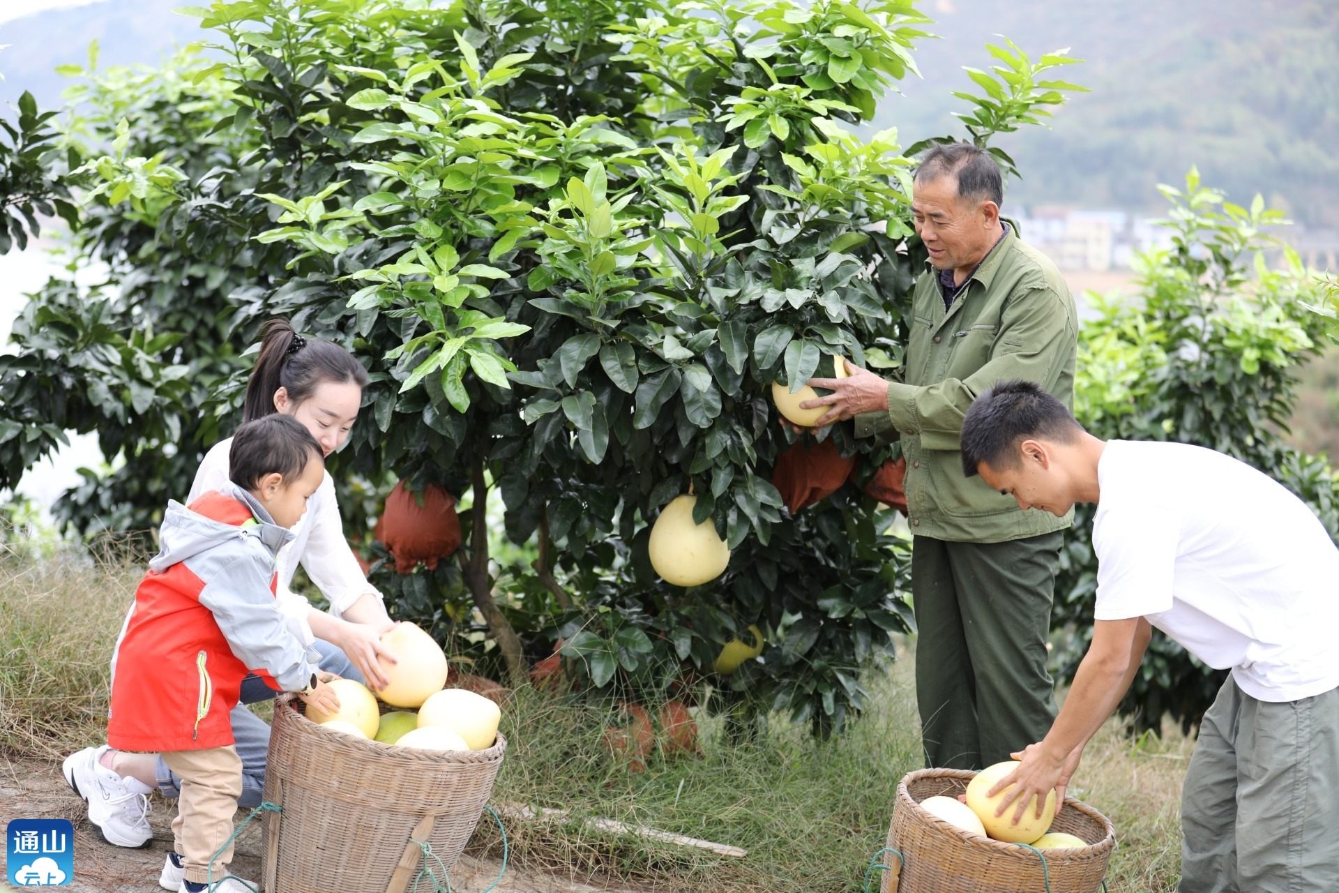 正在上传...