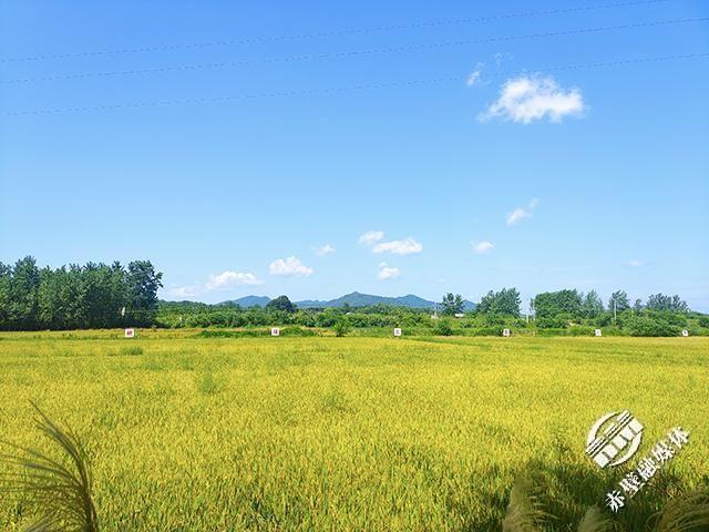 正在上传...