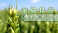 崇阳：扶贫小额信贷 贫困户生财有“望”