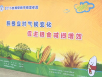 通城开展2016年世界粮食日宣传周活动