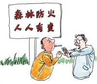 咸安森林防火工作获省督查组肯定