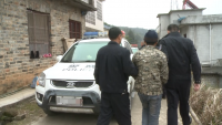 非法捕鸟人&nbsp;自成笼中鸟