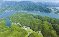 声势浩大的