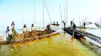 嘉鱼新街“两湖”拆围全面完成