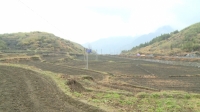 通城塘湖镇：流转土地种水果和药材 农民实现增收