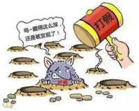 我市农资打假工作受省督查组肯定