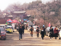 花开人气旺 旅游经济涨