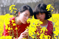  &nbsp;  课堂开到田间地头