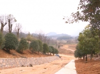 守住绿水青山 打造生态赤壁  