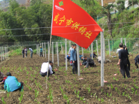 供销社甘当“保姆”  贫困村收获“黄金”