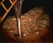 夜雨中的防汛抢修队