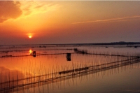 科学治污 严格执法 护好“两湖”流域生态环境