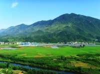 通山：半年完成绿化面积23万亩 筑牢生态屏障